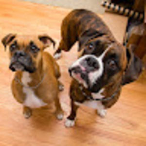 Meet your Posher, Kristin